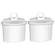 Filtre à eau Alapure pour Braun KWF2 (2pcs)