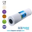 20inch Big Blue Carbon Filter - Carbon Block from Icepure ICP-CTO20BB